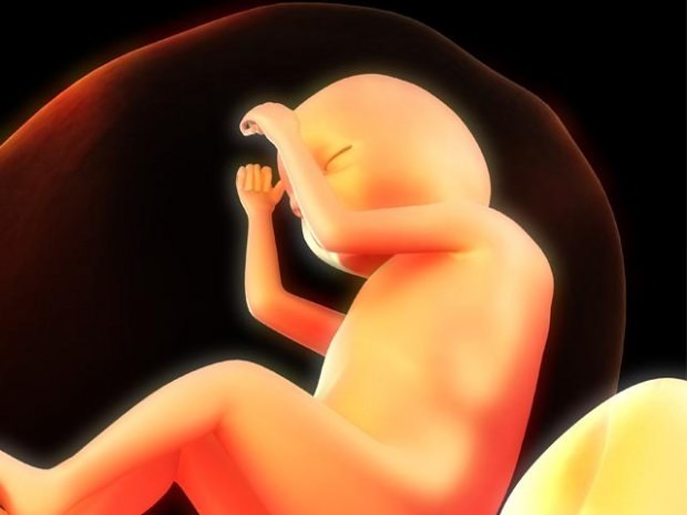 Kako razumjeti dolazak vode tijekom trudnoće? Kada započinje porod?