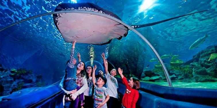  Prizori iz akvarija Sea Life u Istanbulu