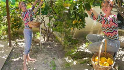 Pjevačica Tuğba Özerk ubrala je limun s drveta u vlastitom vrtu!