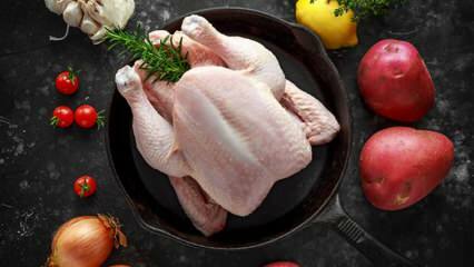 Kako prepoznati je li piletina pokvarena? Koji su znakovi da se piletina kvari?
