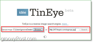 TinEye Screenshot - potražite svoje slike zbog duplikata i većih verzija