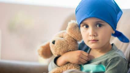 Što je rak krvi (leukemija)? Simptomi i liječenje leukemije u djece