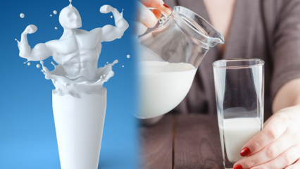 Slabi li pijenje mlijeka prije spavanja? Trajna i zdrava prehrana za mršavljenje
