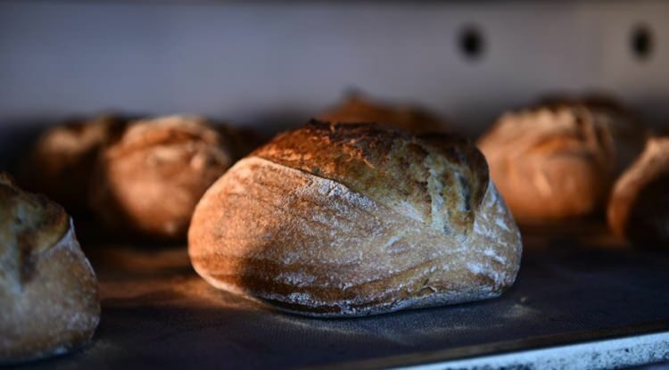 Kako napraviti kruh od kiselog tijesta?