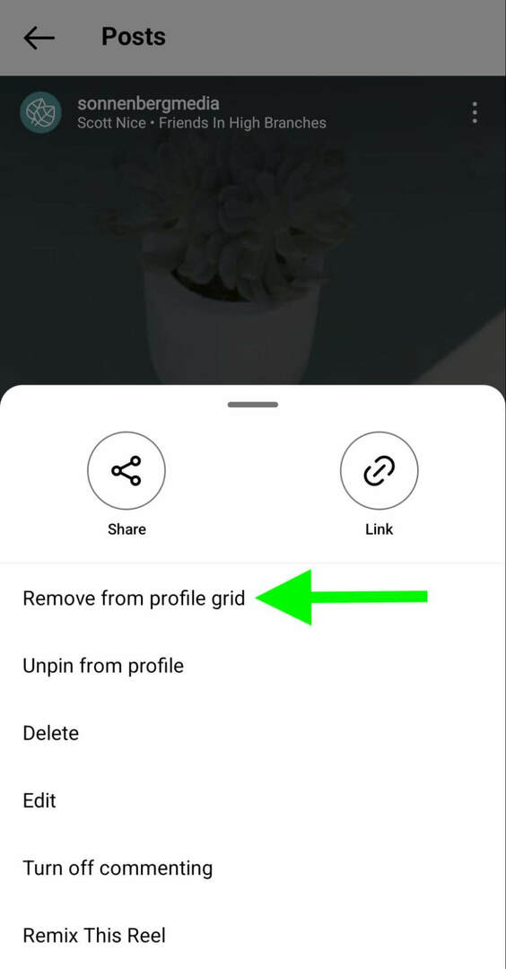 kako-instagram-unpin-reels-profile-remove-grid-sonnenbergmedia-step-4