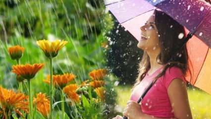 Je li travnja kiša ljekovita? Koje su molitve za čitanje u kišnici? Prednosti travanjske kiše