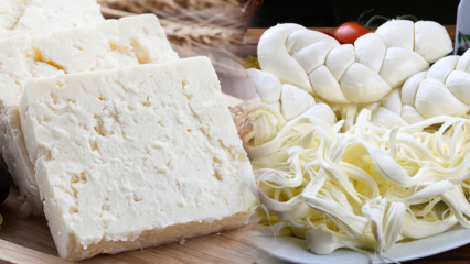 Kako razumjeti dobar sir? Savjeti za odabir sira