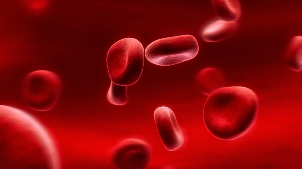 Što je dijeta krvnih grupa? Kako se to radi?