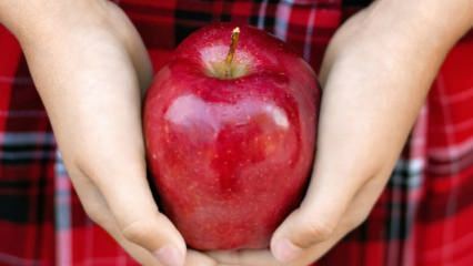 Kako se ocjenjuju trule jabuke? 