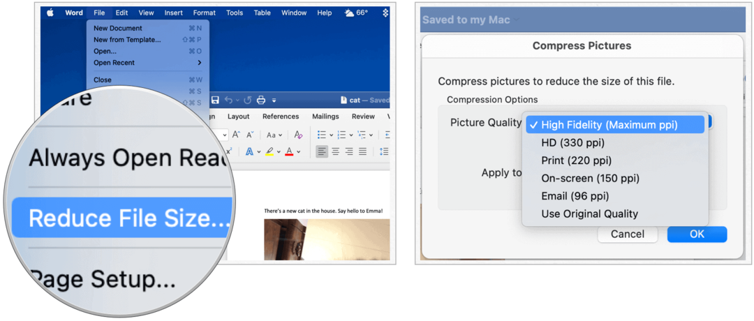 Microsoft Word na Macu smanjuje veličinu datoteke