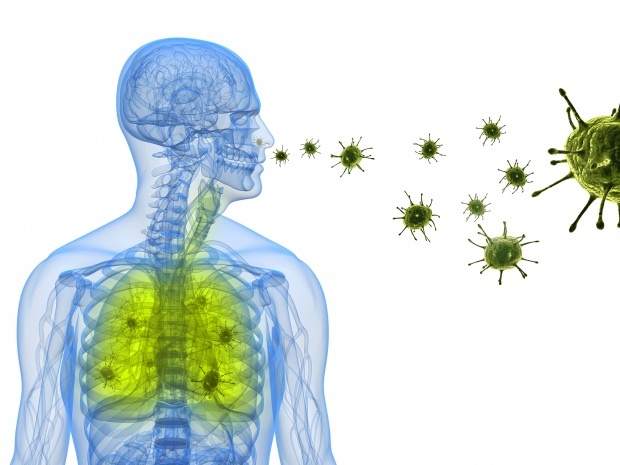 virus corone naseljava se u nosu kroz pluća