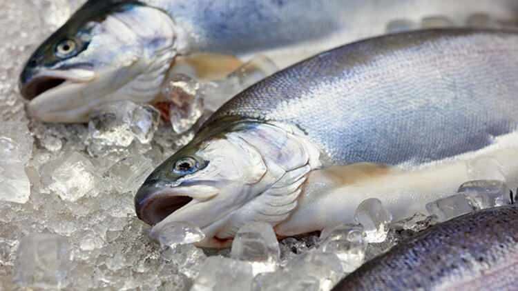 Mijenja li se okus ribe bačene u zamrzivač?