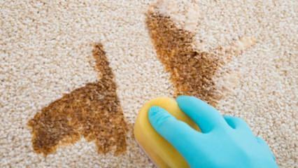 Kako napraviti sprej za čišćenje tepiha kod kuće?