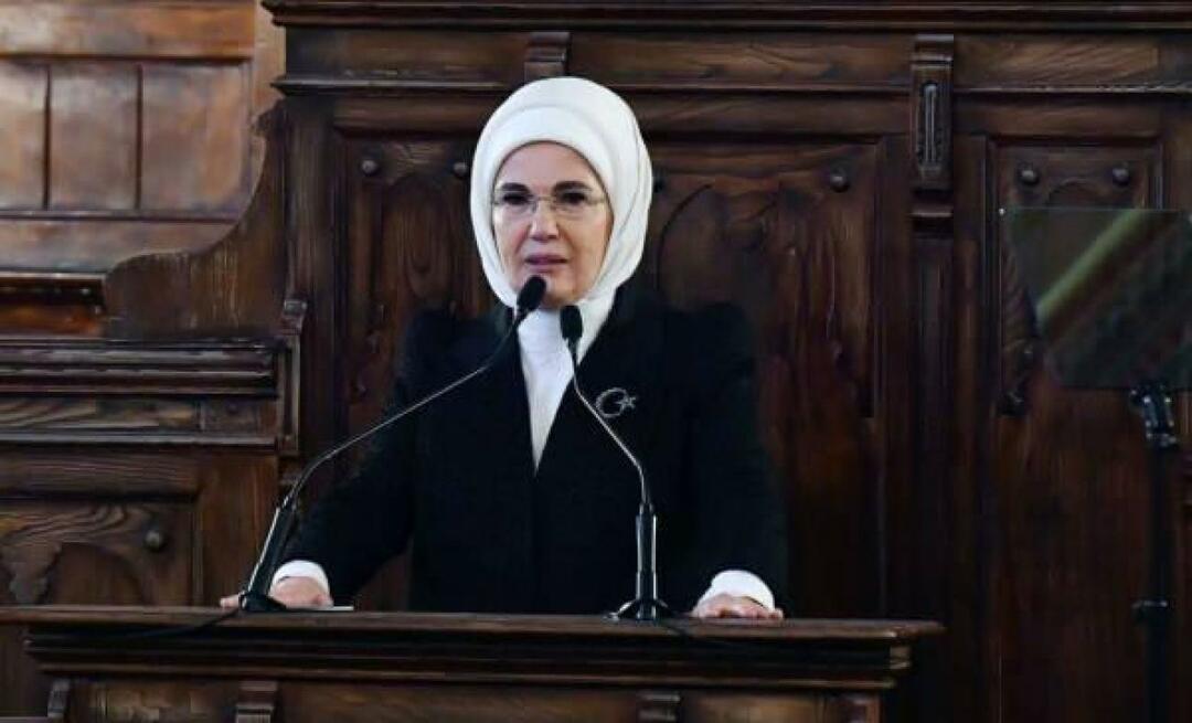 Emine Erdoğan sastala se sa suprugom američkog veleposlanika u Ankari Cheryl Flake