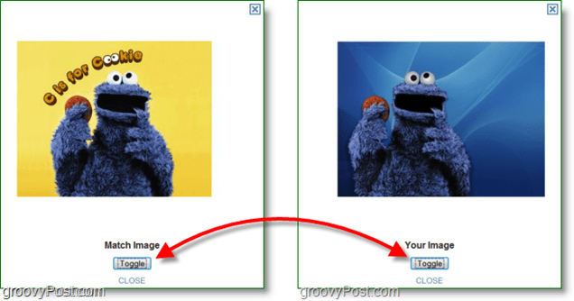 TinEye Screenshot - uspoređivanje originalne slike i slike podudaranja