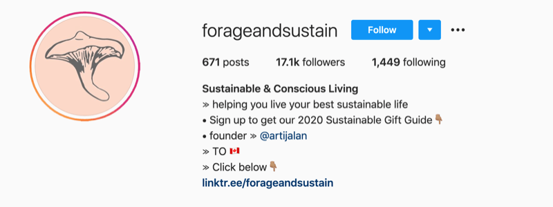 primjer instagram profila iz @forageandsustain s napomenom u informacijama o njihovom profilu da biste kliknuli bio vezu za više