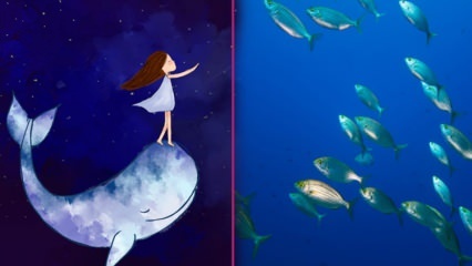 Što znači vidjeti ribu u snu? Prema Diyanetu, značenje ribolova u snu ...