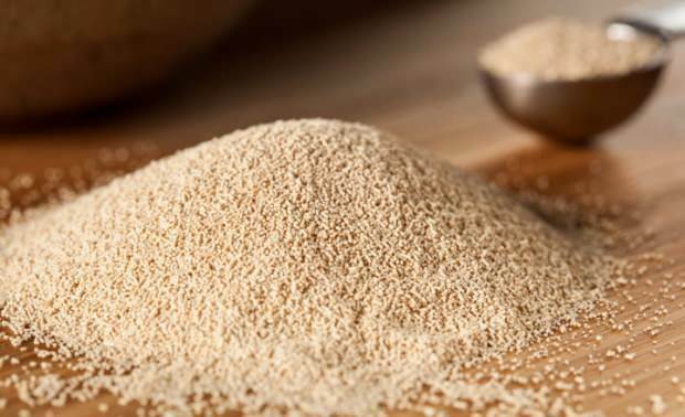 Koja bi trebala biti najpraktičnija uporaba suhog kvasca? Je li suha ili kvas?