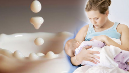 Kako se reproducira majčino mlijeko? Recepti za izlječenje koji povećavaju majčino mlijeko