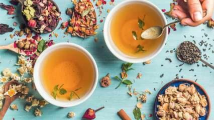 Koji su biljni čajevi koji najbrže sagorijevaju masnoću? 7 najučinkovitijih biljnih čajeva za sagorijevanje masti! 