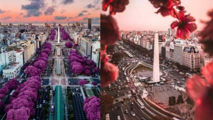 Grad lijepog vremena: mjesta koja treba posjetiti u Buenos Airesu!