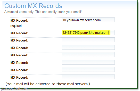 prošli podatke o vašem mx poslužitelju uživo na stranicu s naprednim opcijama vaše domene za prilagođene zapise mx