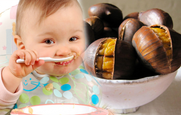 Saraçoğlu je objasnio prednosti kestena! Koliko mjeseci staro dijete može jesti kestene? Da li kesten stvara plin kod djeteta?