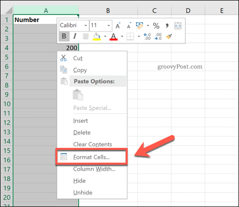 Opcija Excel Format Cells