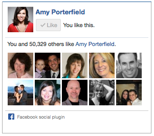 amy porterfield facebook poput kutije