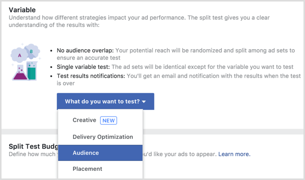 Facebook varijabla testne podjele oglasa