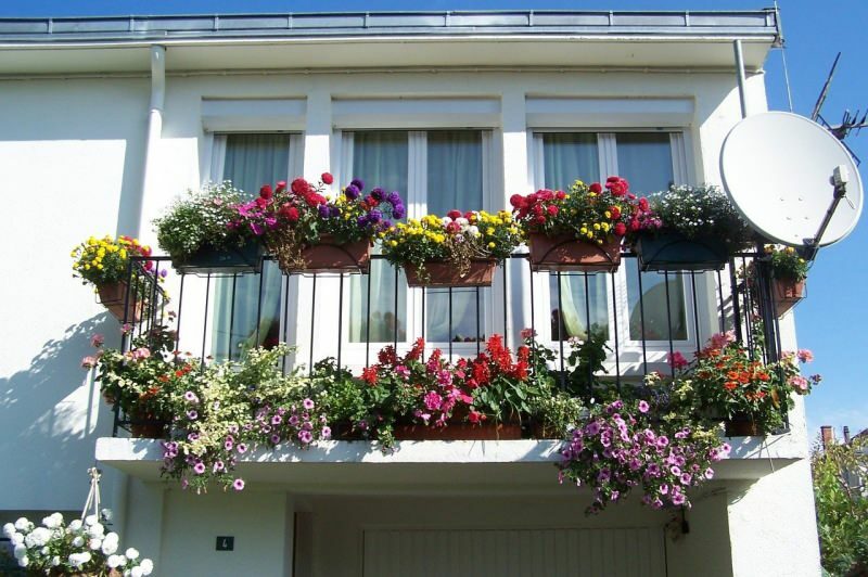Prijedlozi za uređenje balkona za proljetne mjesece! Imena proljetnih cvjetova medvjeda