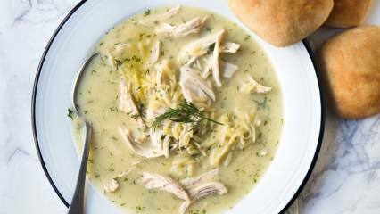 Što je juha od pijetla i kako napraviti juhu od mesa pijetla? Blagodati pijetlove vode