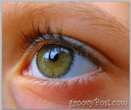 Osnove Adobe Photoshopa - Human Eye odaberite cijeli sloj očiju