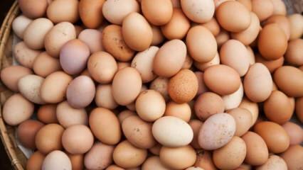 Što treba uzeti u obzir pri odabiru jaja?