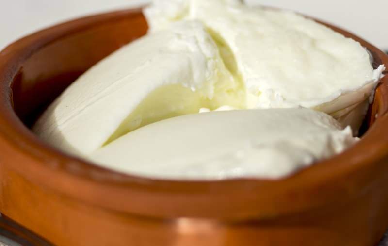 Koje su prednosti jogurta od bivola? Kako napraviti jogurt od vodenih bivola i čemu služi?