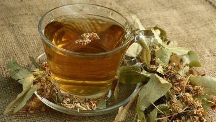 Koje su prednosti lipe? Za koje su bolesti dobre? Kako napraviti čaj od lipe?