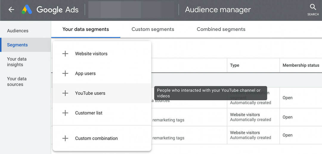 što je-youtube-ciljanje publike-google-ads-data-segments-example-2