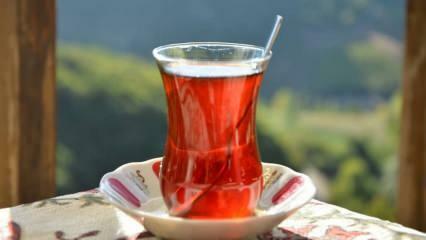 Kako možete znati je li čaj dobre kvalitete? Načini razumijevanja kvalitete čaja