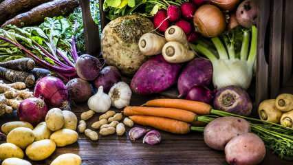 Što je korjenasto povrće? Koje su prednosti korjenastog povrća?