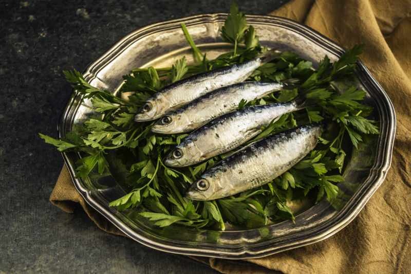 riba sardina sprečava gubitak kose
