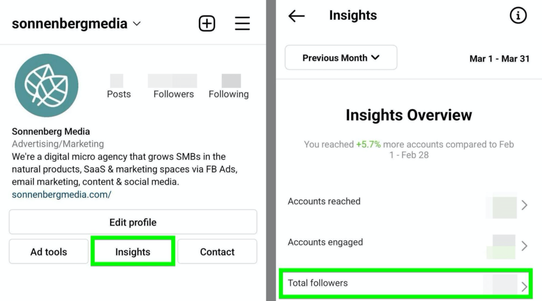 slika opcije Instagram Insights Total Followers