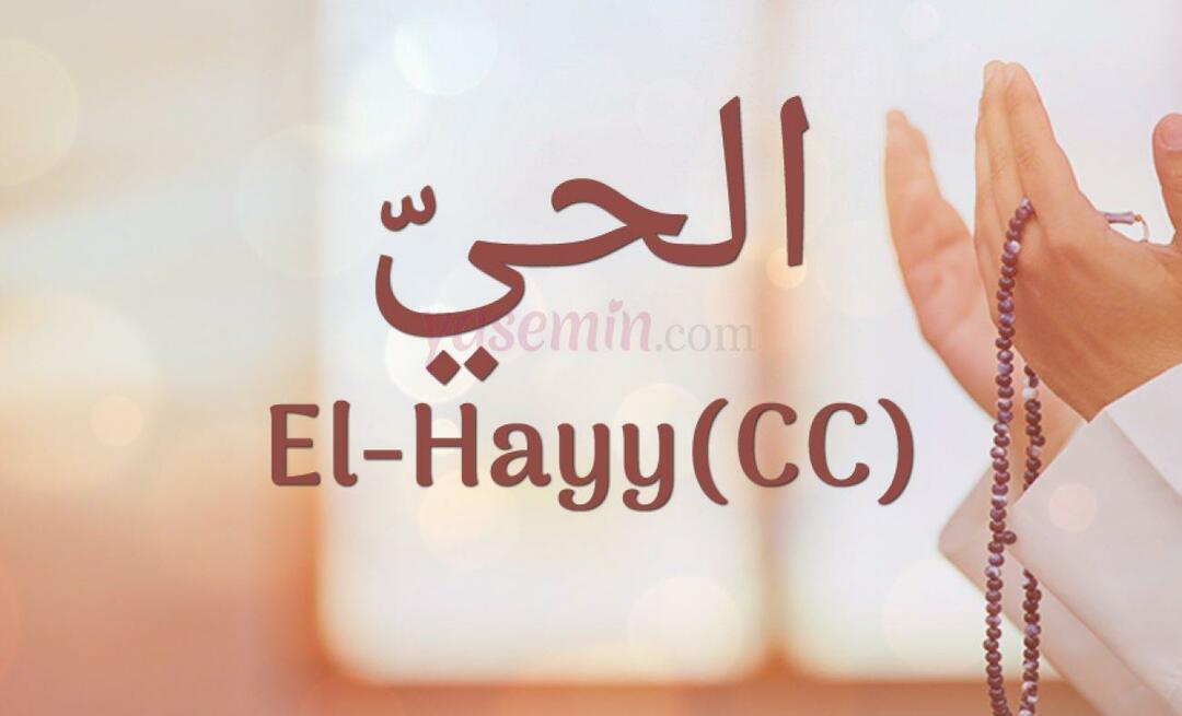 Šta znači El-Hayy (cc) od Esma-ul Husna? Koje su vrline El-Hajja (cc)?