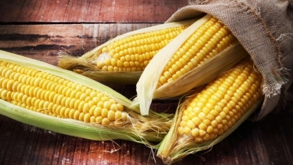 Koje su prednosti kukuruza? Je li kokice korisne? Pijete li sok kuhanog kukuruza?