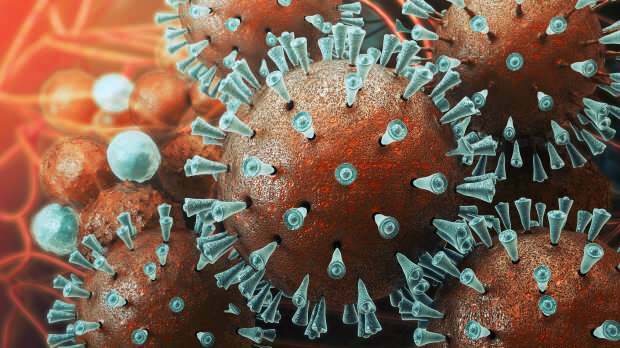 virus mers prvi put je viđen 2003. godine