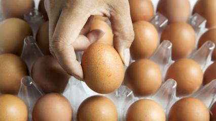 Praktični savjet za održavanje svježih jaja